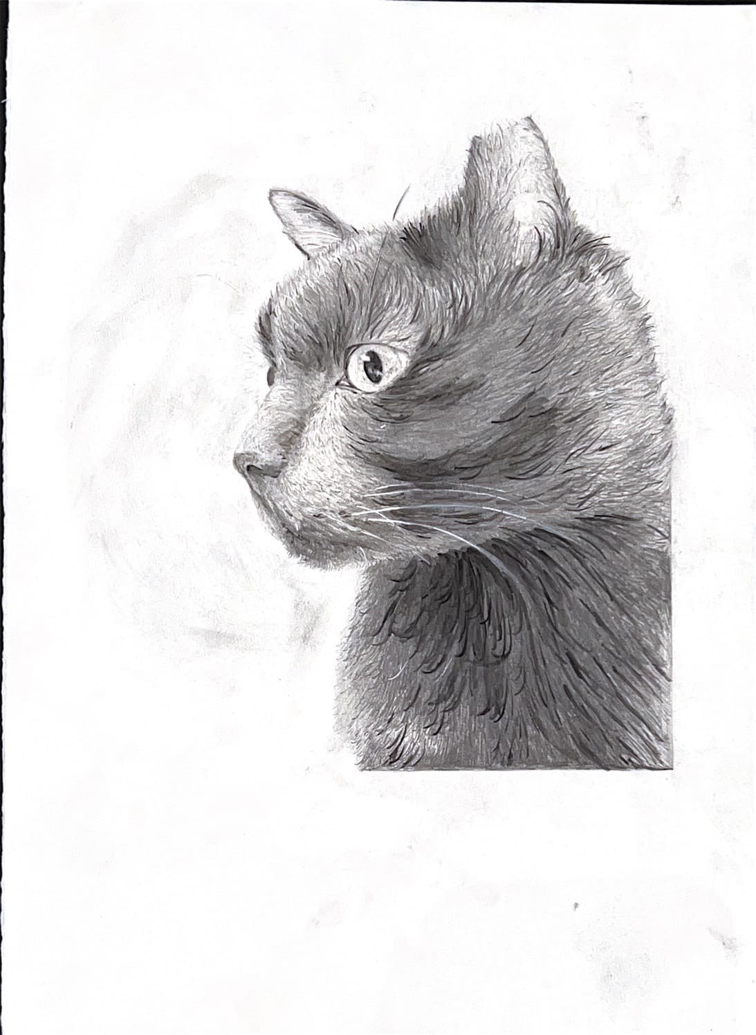  精細素描優秀作品 ，X29吳邡熏