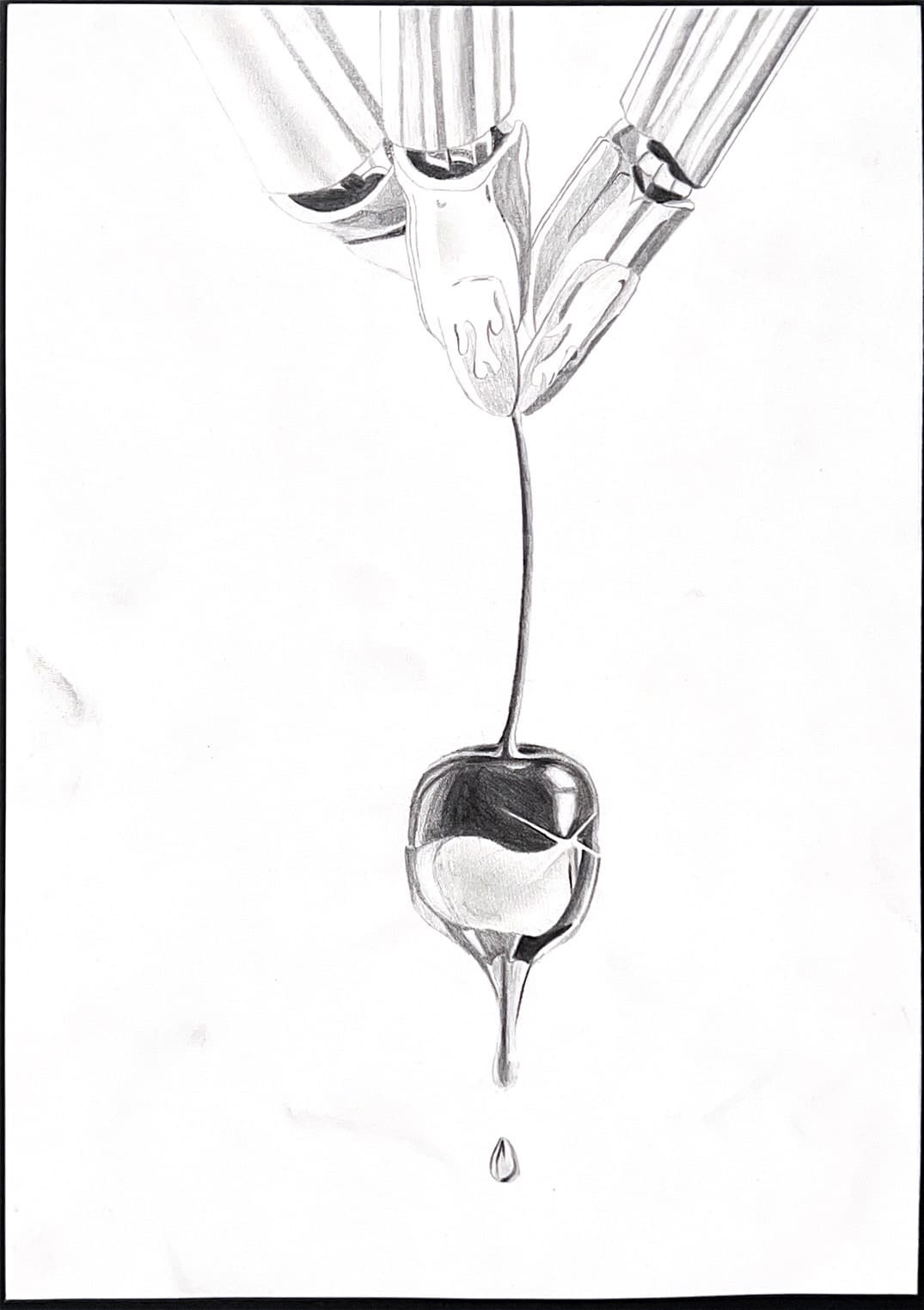  精細素描優秀作品 ，X211林芷欣